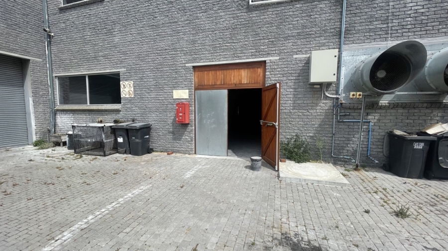 To Let commercial Property for Rent in Diep River Western Cape